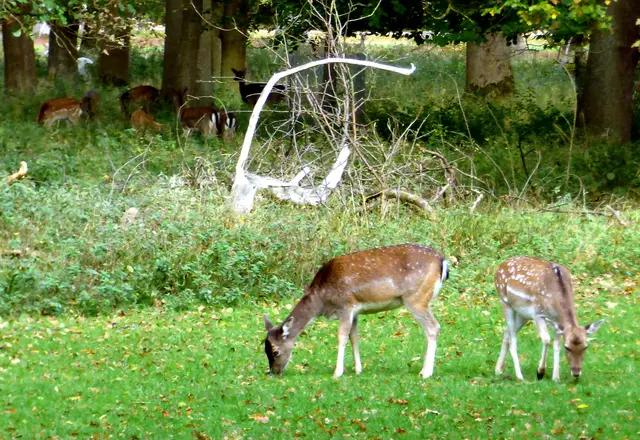 Vom Weg aus gut zu sehen