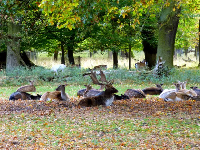 Jetzt zeigen sie sich