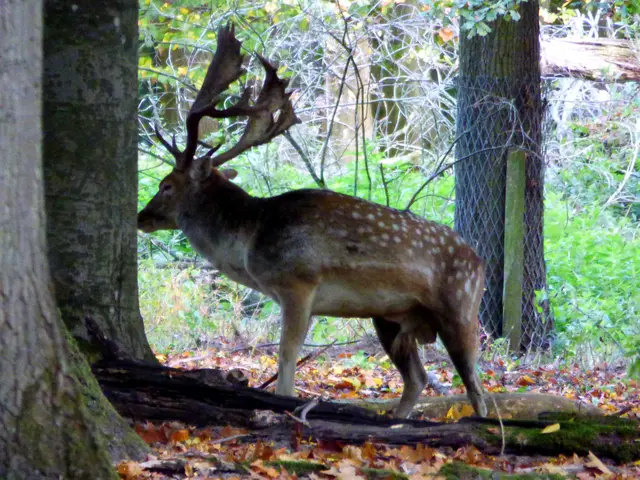 Dann ist einer aufgestanden