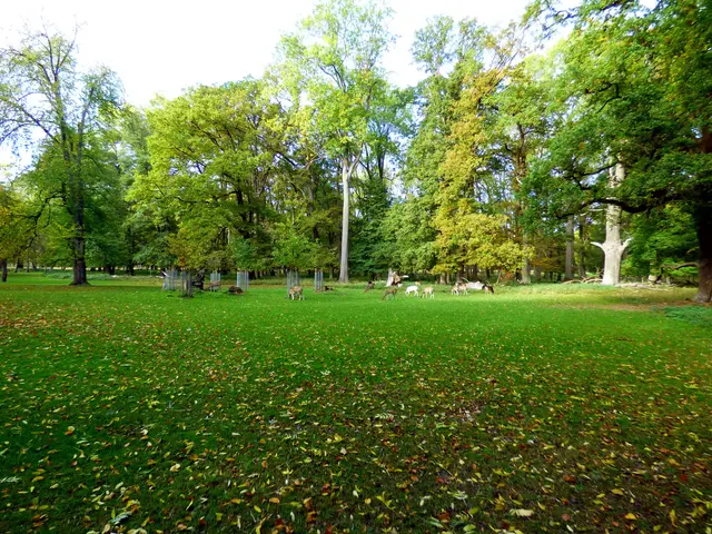 Das war ein schöner Herbstrundgang