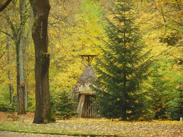 Die Köhlerhütte ... | Foto: M. A.