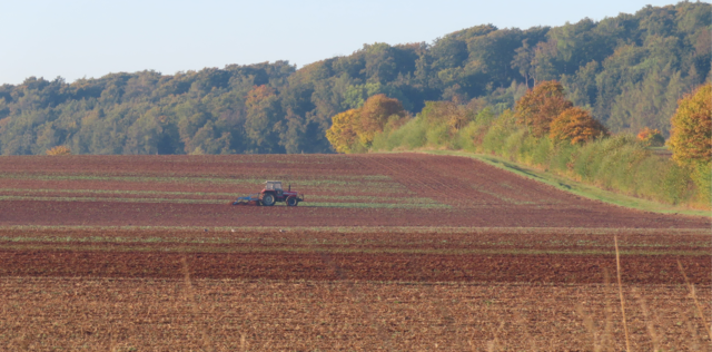 Ausschnitt aus dem Original-Foto. | Foto: M. A.