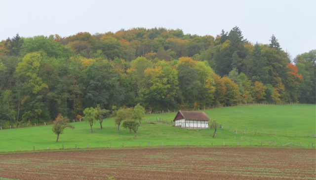 Ausschnitt aus dem Original-Foto (nächstes Bild). | Foto: M. A.