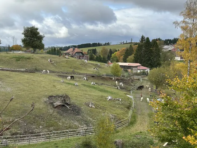 Alpakahof