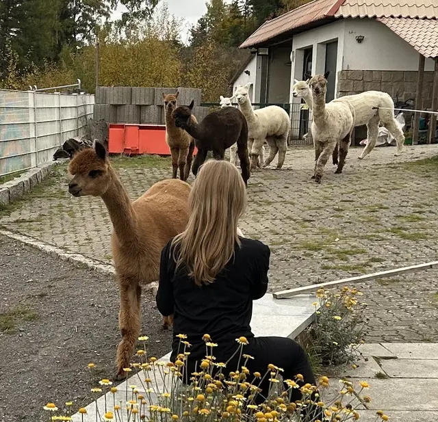 Hautnahes Erleben