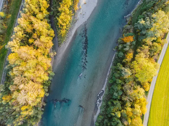 Beim Umweltpreis rückt der Bezirk Schwaben mit einer neuen Kategorie erstmals die schwäbischen Flüsse, Seen, Bäche und deren Artenvielfalt in den Mittelpunkt.  | Foto: Martin Augsburger