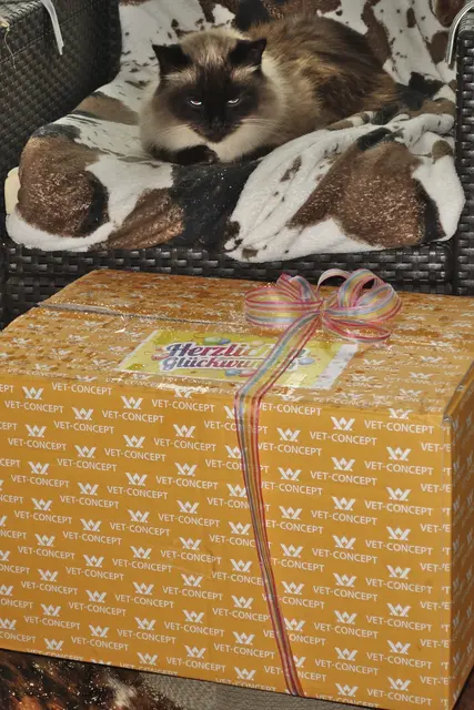 Einstein beäugt sein Geschenk