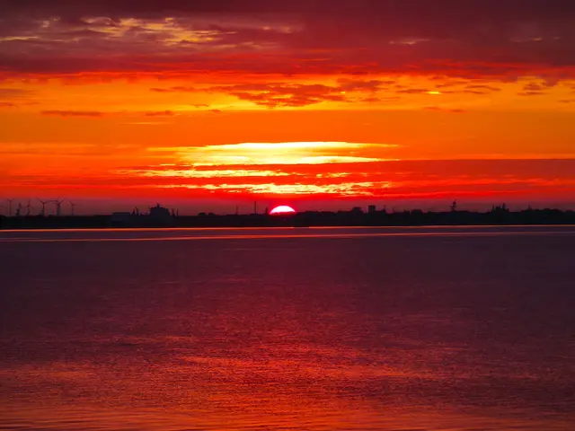 Was für eine Farbenpracht! | Foto: Shima Mahi