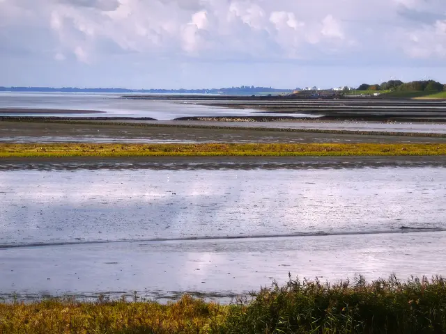 Blick über einen weiteren, aber deutlich älteren Grodenbereich | Foto: Shima Mahi