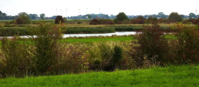 Landschaft entlang des Eckwarder Siel | Foto: Shima Mahi