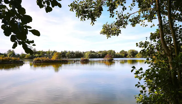 Hier fühlen sich die Wasservögel wohl. | Foto: Shima Mahi