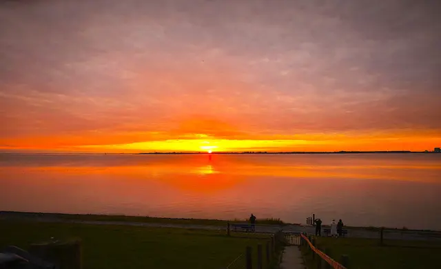 Feurige Farben | Foto: Shima Mahi