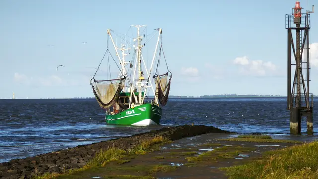 Der Krabbenkutter wartet auf die Einfahrt in den Feddersieler Hafen. | Foto: Shima Mahi