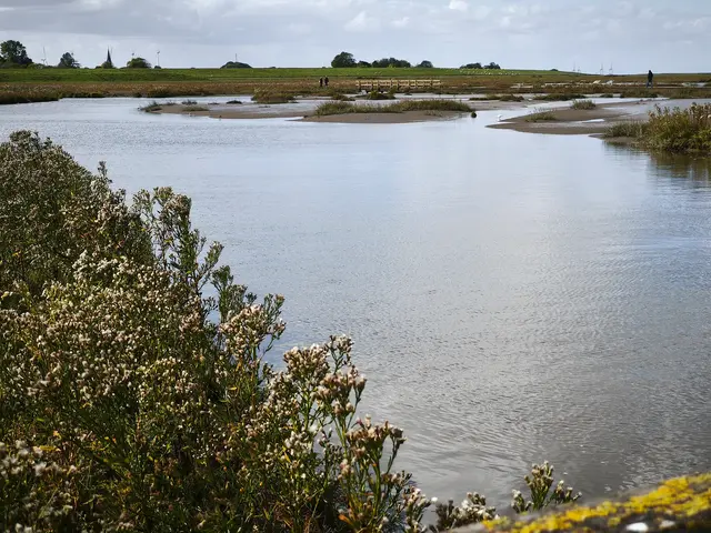 Blick über den Groden mit der Langwarder Kirche im Hintergrund | Foto: Shima Mahi