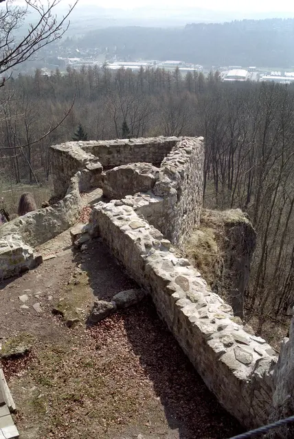 Burgruine Scharzfeld im Harz