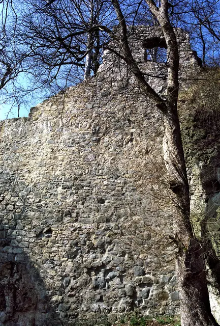 Burgruine Scharzfeld im Harz