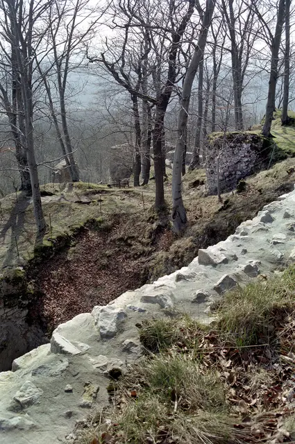 Burgruine Scharzfeld im Harz