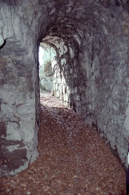 Burgruine Scharzfeld im Harz