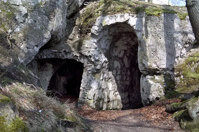 Burgruine Scharzfeld im Harz