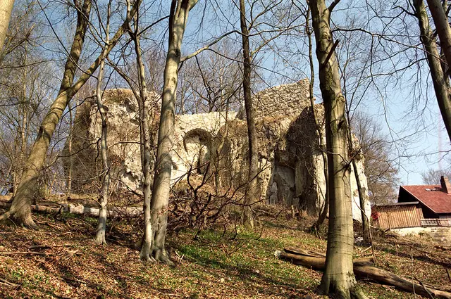 Burgruine Scharzfeld im Harz