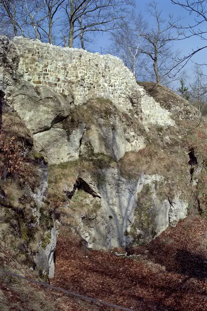 Burgruine Scharzfeld im Harz