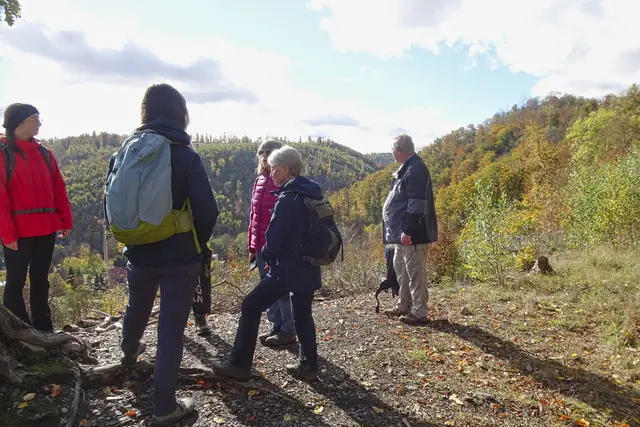 an einem Aussichtspunkt am Harzer Hexen Stieg