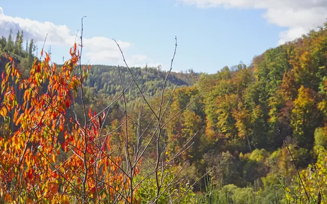 Blick in das herbstliche Bodetal