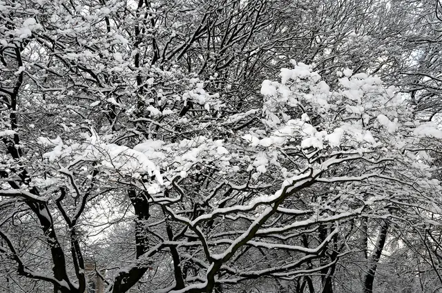 Im Januar 2016 war Hannover eine Winterlandschaft