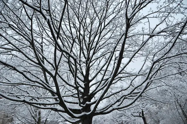 Im Januar 2016 war Hannover eine Winterlandschaft