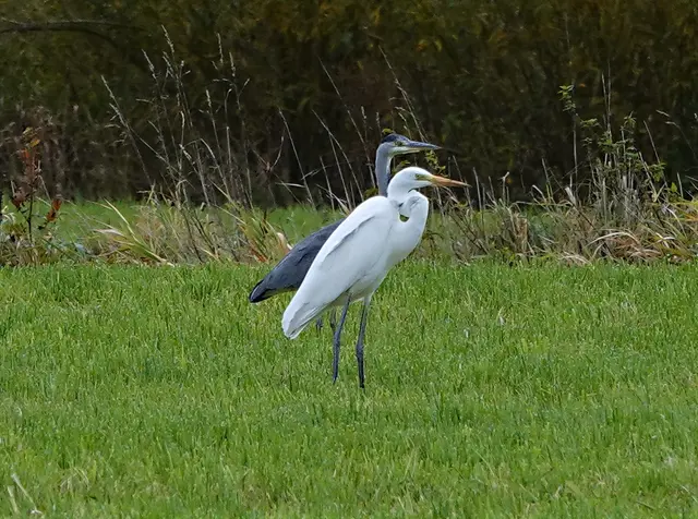 Die Verwandten kommen gut miteinander zurecht