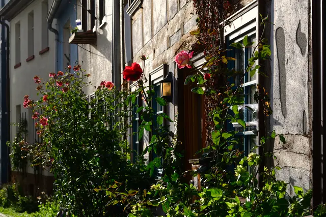 Wenn die Sonne mal blitzt.