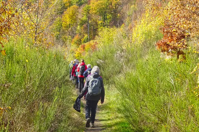 auf dem Harzer Hexen Stieg (zwischen Schöneburg und Bodetal)