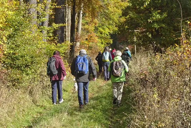 auf dem Harzer Hexen Stieg(zwischen Stemmberghaus und Schöneburg) 