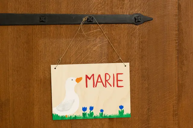 Türschild der Museumsgans Marie | Foto: Museum KulturLand Ries/Matthias Meyer