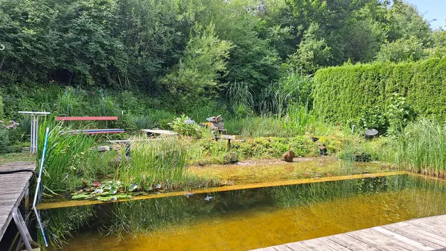 Foto: Robert Sengotta