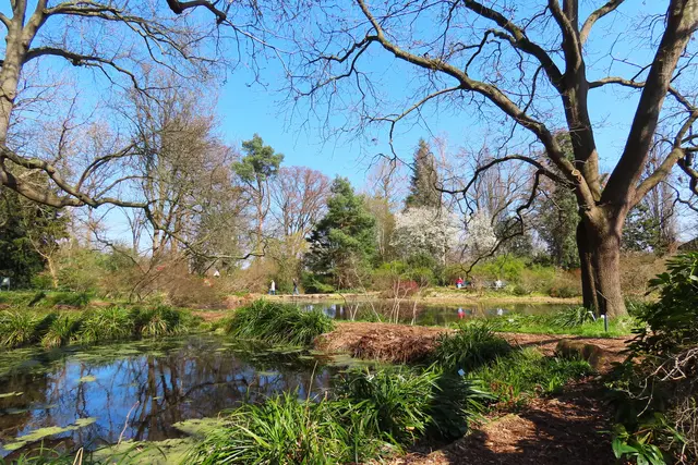 Moorbereich Berggarten Hannover