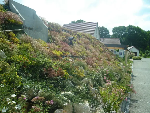 Foto: Robert Sengotta