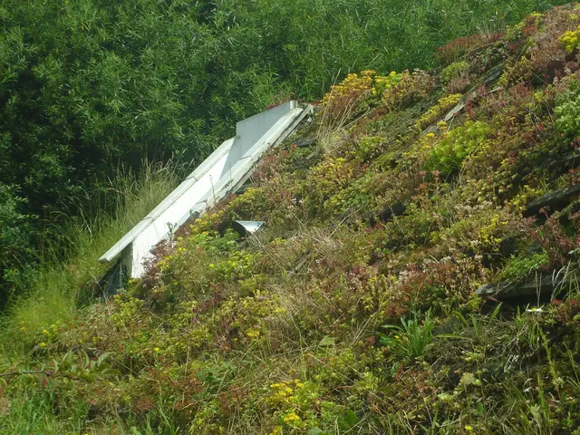 Foto: Robert Sengotta