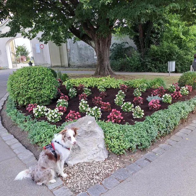 Foto: Fritz und Gerti Sedl