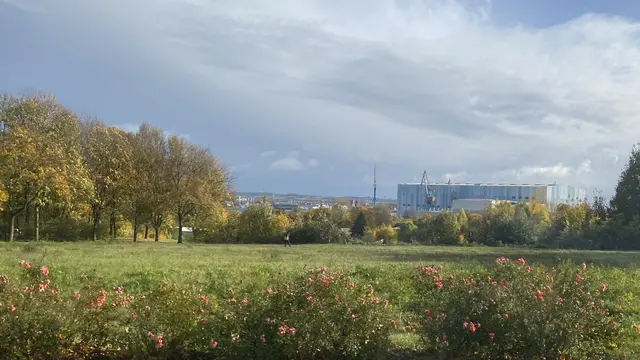 Die Breitscheidstraße im Stadtteil Wendorf liegt in einer erhöhten Position, wodurch es die Sicht auf die Wismarbucht und den Hafen mit der markanten Werfthalle gibt. Foto: Helmut Kuzina
