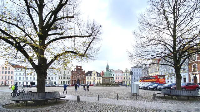 Auf dem Marktplatz haben die beiden Gerichtslinden bereits fast ihr gesamtes Laub verloren.Foto: Helmut Kuzina