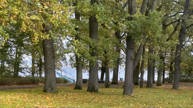 Der Küstenwald mit der Seebrücke wird im Ortsteil Wendorf erreicht. Die 350 m lange Seebrücke besitzt eine Aussichtsplattform, von der die Wismarbucht mit den vorgelagerten Inseln Walfisch und Poel überblickt werden kann. Foto: Helmut Kuzina