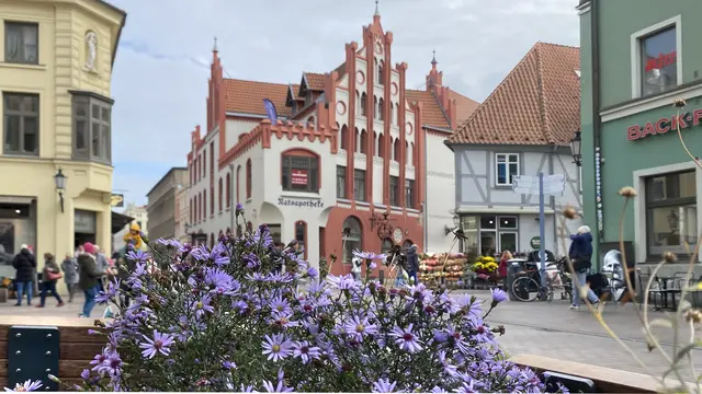 Auf den Sitzinseln am Rudolph-Karstadt-Platz blühen Herbstastern. Foto: Helmut Kuzina