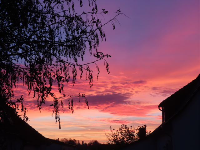 Ausschnitt aus dem Original-Foto. | Foto: M. A.