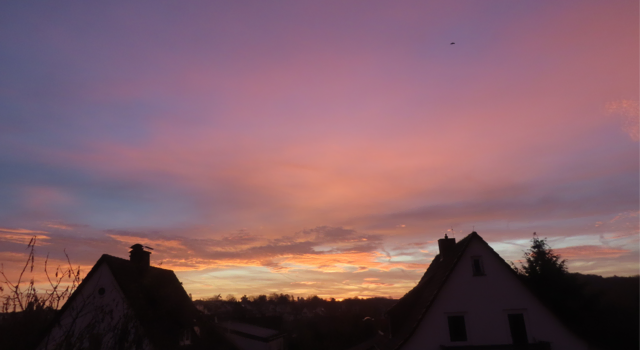 Ausschnitt aus dem Original-Foto. | Foto: M. A.