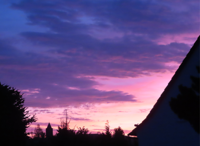 Ausschnitt aus dem Original-Foto. | Foto: M. A.