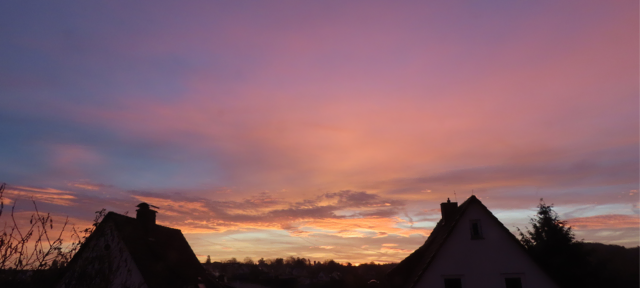 Ausschnitt aus dem Original-Foto. | Foto: M. A.