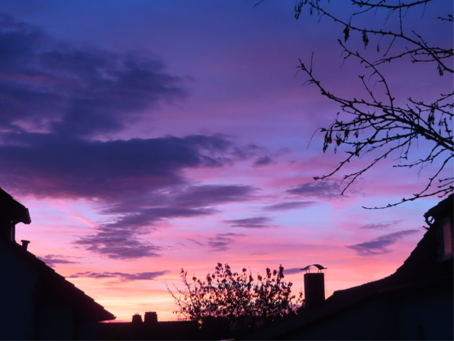 Ausschnitt aus dem Original-Foto. | Foto: M. A.