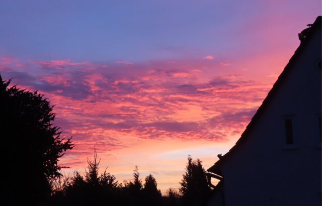 Ausschnitt aus dem Original-Foto. | Foto: M. A.