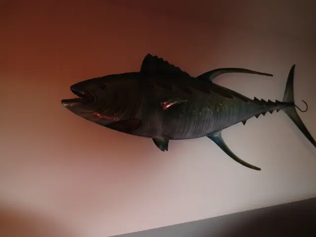 Wandbild natürlich Fisch